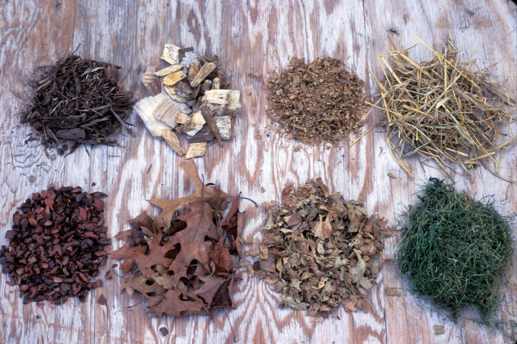 How To Make Soil Fertile Naturally Mother Earth News